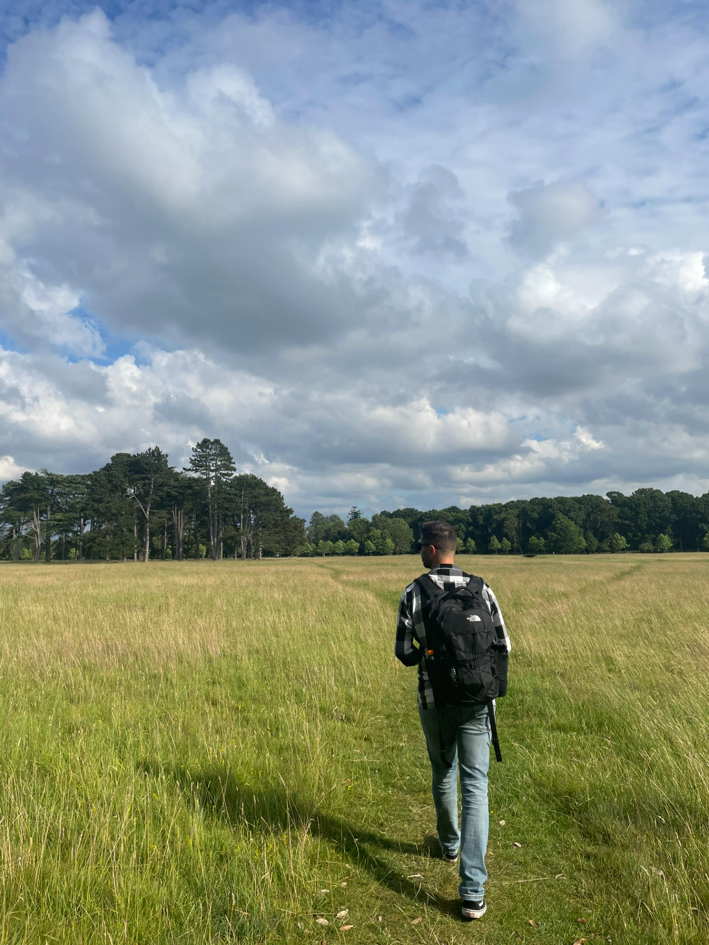 Phoenix park